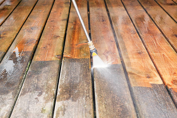 Best Roof Washing  in Winnsboro, SC